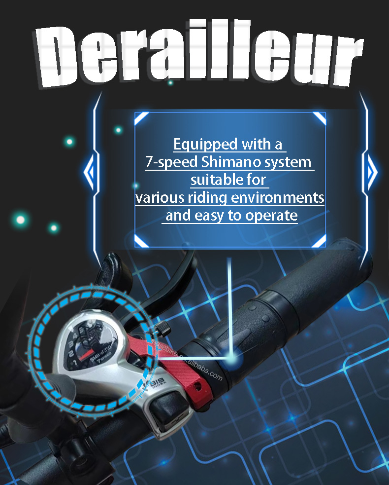 JetS Best 3 Bafang miniatura 6